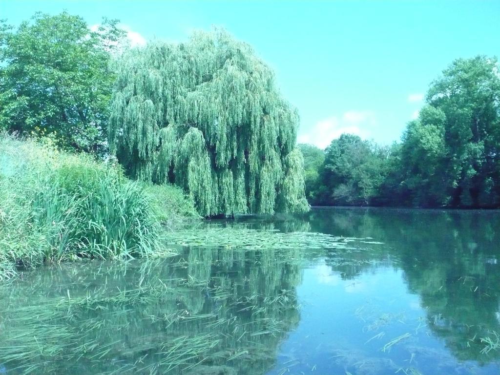 Le Havre De Bennecourt Bed & Breakfast Bagian luar foto